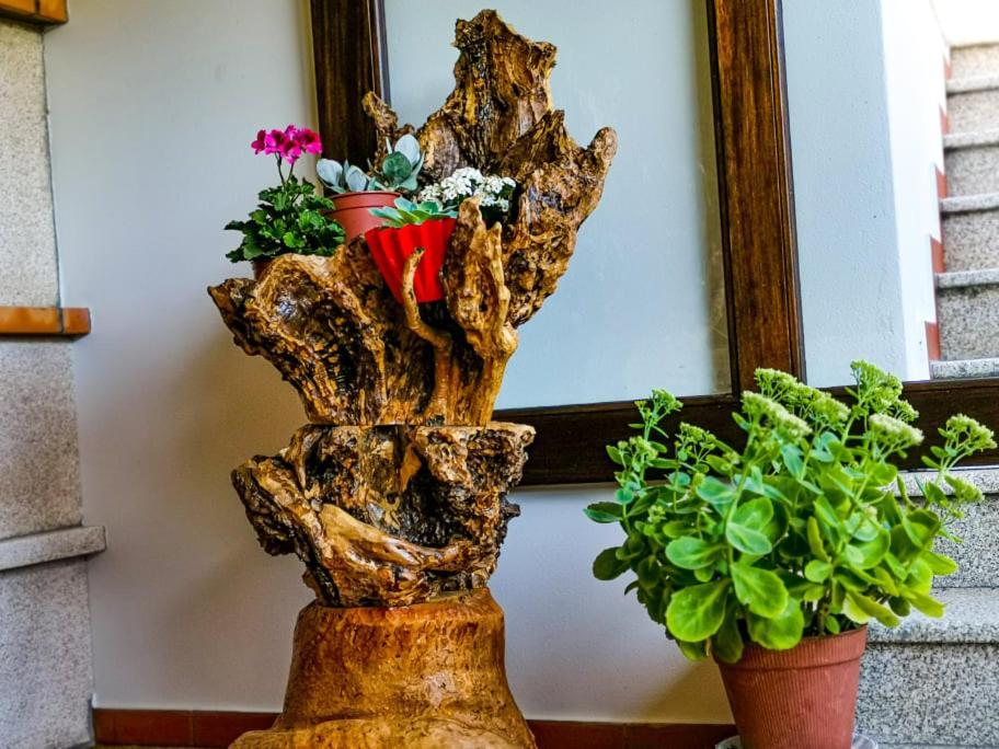 Vila Seca  Casa Carolinaゲストハウス エクステリア 写真